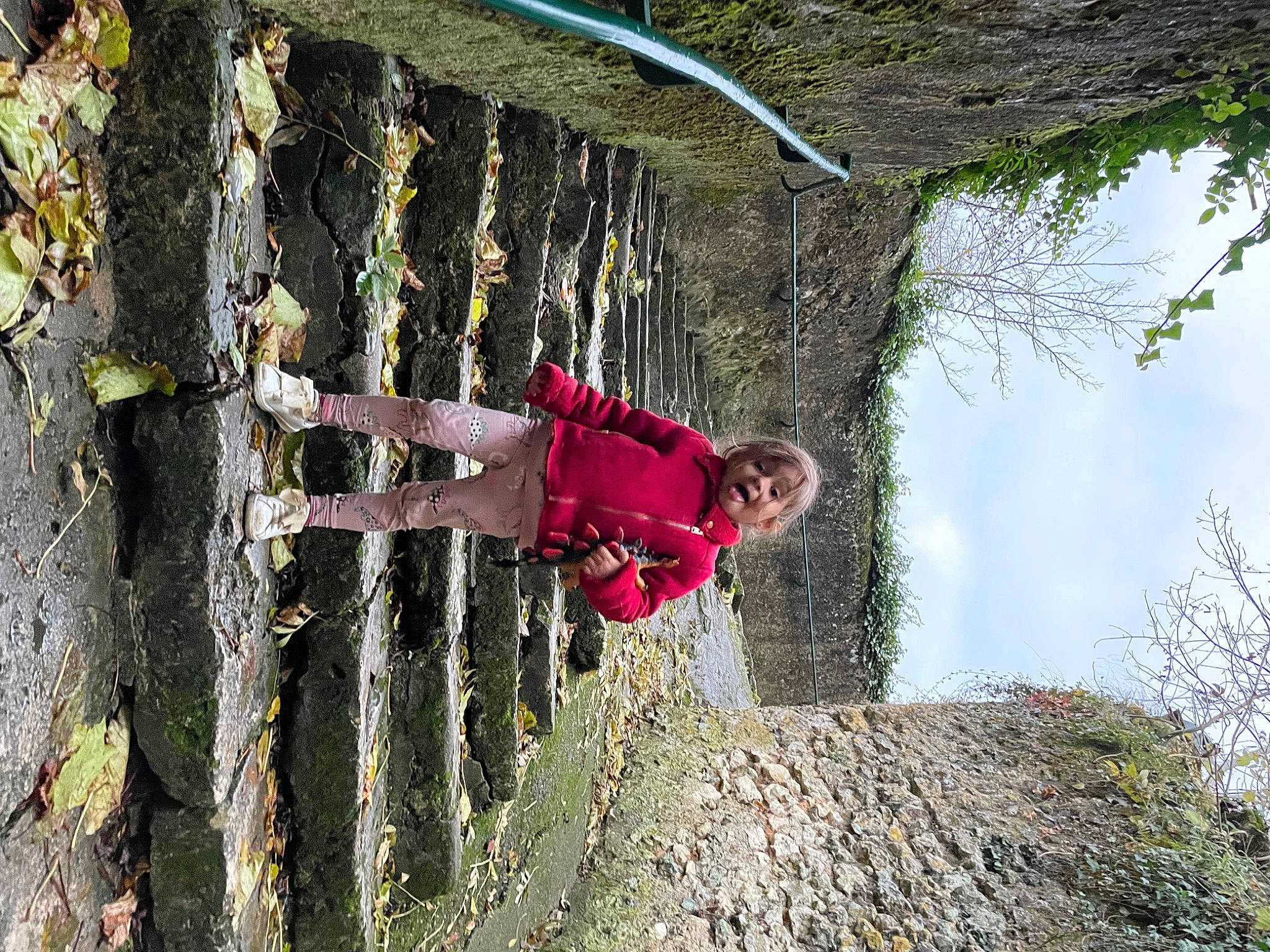 éden a rejoint le concours — aidez-le/la à gagner de superbes lots ! adventure, biome, branch, fun, grass, house, landscape, leisure, nature, people_in_nature, person, plant, recreation, rope, sky, surprise, toddler, tree, trunk, vegetation