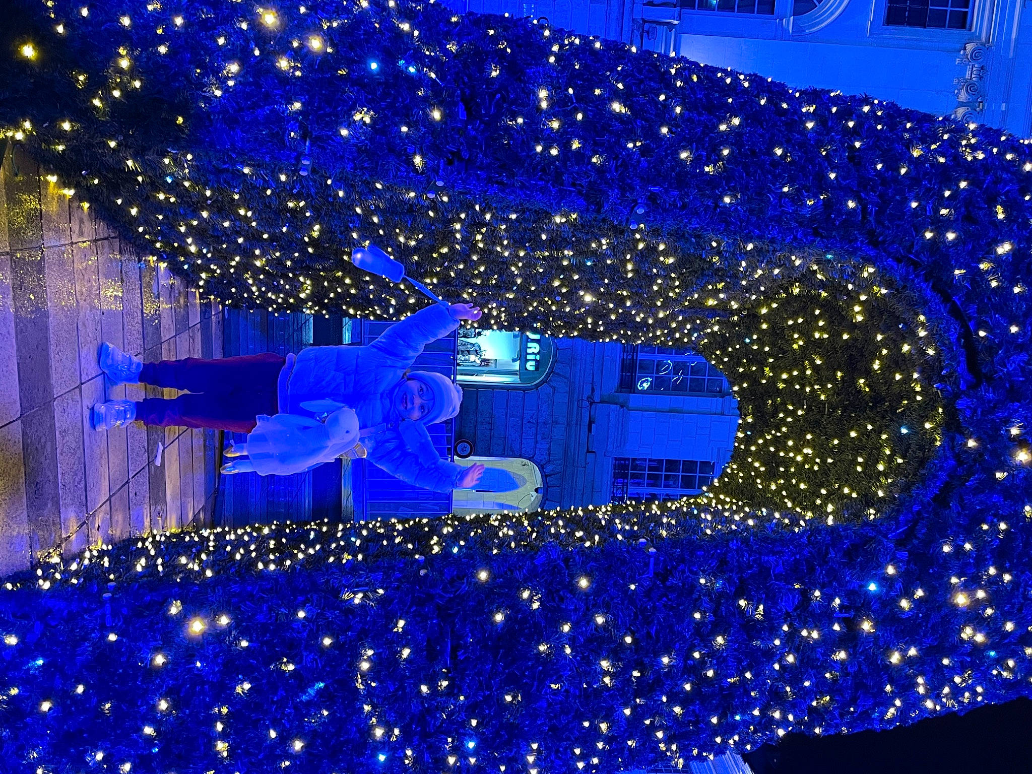 éden participe au concours pour gagner de l'argent avec cette photo : building, christmas, christmas_decoration, christmas_eve, christmas_lights, christmas_ornament, christmas_tree, conifer, decoration, design, electric_blue, event, fir, headwear, holiday, interior_design, joy, light, ornament, person