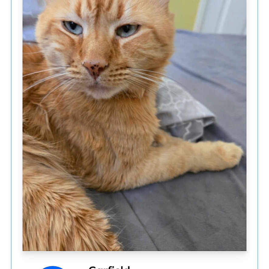 Garfield