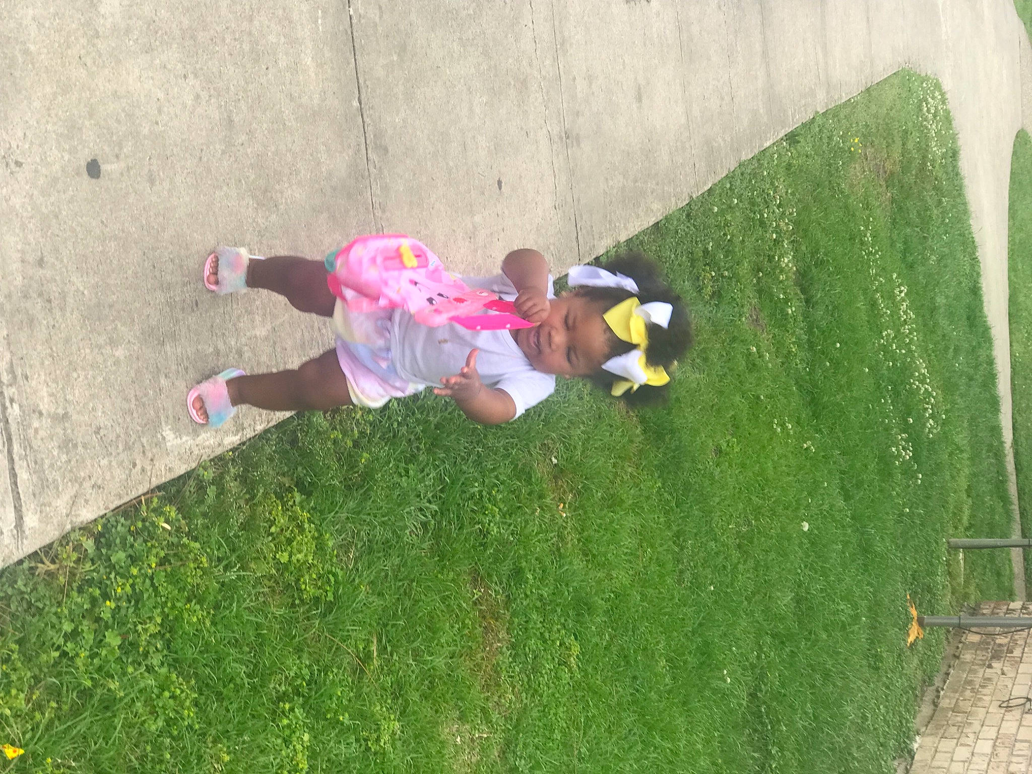 Taliyah joined the competition — help win amazing prizes! artificial_turf, asphalt, flooring, fun, garden, grass, grass_family, grassland, groundcover, landscape, lawn, leisure, people_in_nature, person, plant, recreation, shadow, shrub, sidewalk, tree