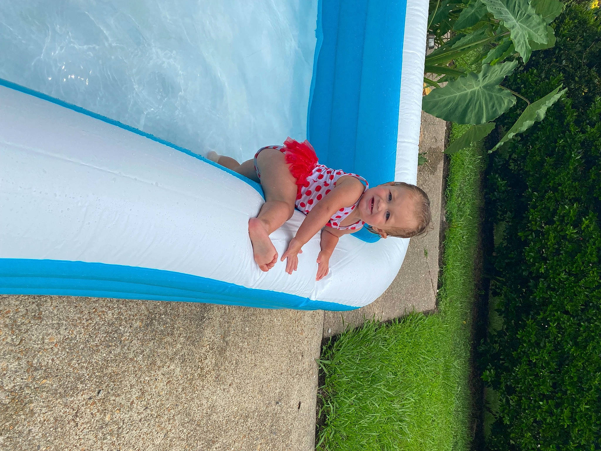 Kora is registered to the contest to win money with this photo: barefoot, child, chute, electric_blue, foot, fun, grass, green, happy, human_leg, joy, leisure, people_in_nature, person, plant, play, recreation, swimming_pool, swimwear, toddler