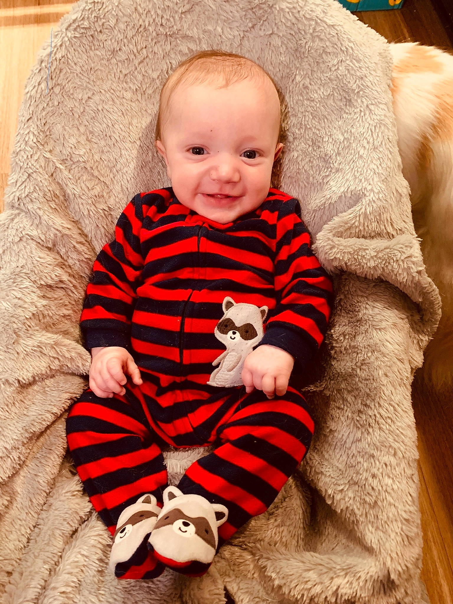 Jacob participe au concours pour gagner de l'argent avec cette photo : baby, baby_toddler_clothing, cheek, child, christmas, comfort, fur, happy, human_body, mammal, outerwear, person, sitting, skin, sleeve, smile, textile, toddler, white, wood