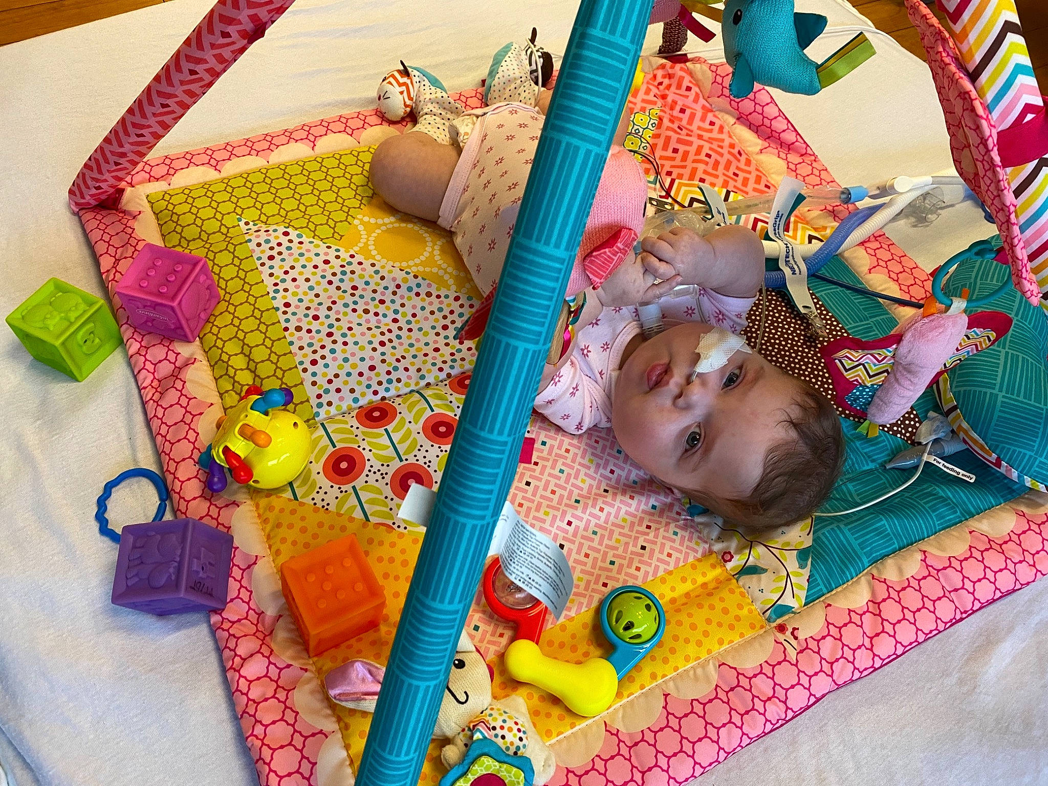 Wrynlee is registered to the contest to win money with this photo: art, baby, baby_products, baby_toddler_clothing, baby_toys, child, flooring, fun, head, leisure, linens, magenta, pattern, person, pink, play, room, smile, textile, toddler