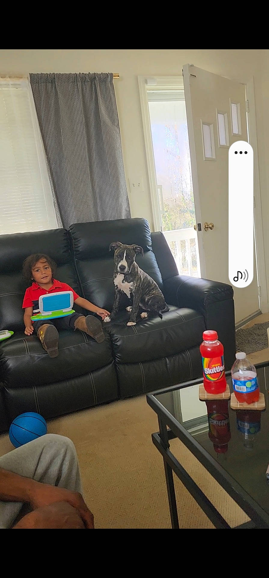 animal, architecture, boy, building, canine, child, couch, cushion, face, furniture, head, homedecor, indoors, interiordesign, livingroom, male, person, photography, portrait, room