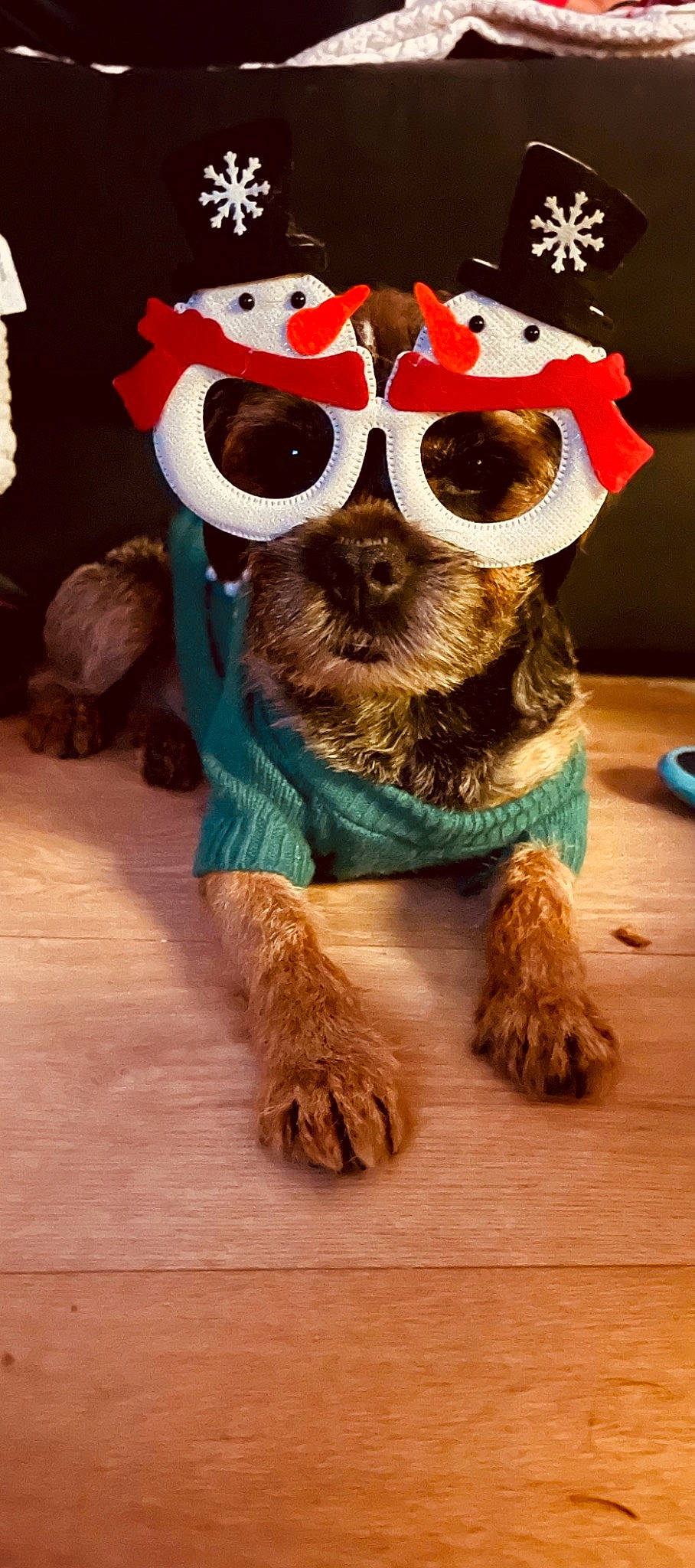 Jorel a rejoint le concours — aidez-le/la à gagner de superbes lots ! carnivore, companion_dog, dog, dog_breed, dog_clothes, event, eyewear, fawn, fur, glasses, hat, mascot, personal_protective_equipment, plush, snout, stuffed_toy, sunglasses, vision_care, whiskers, working_animal