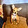 Daisy Dog