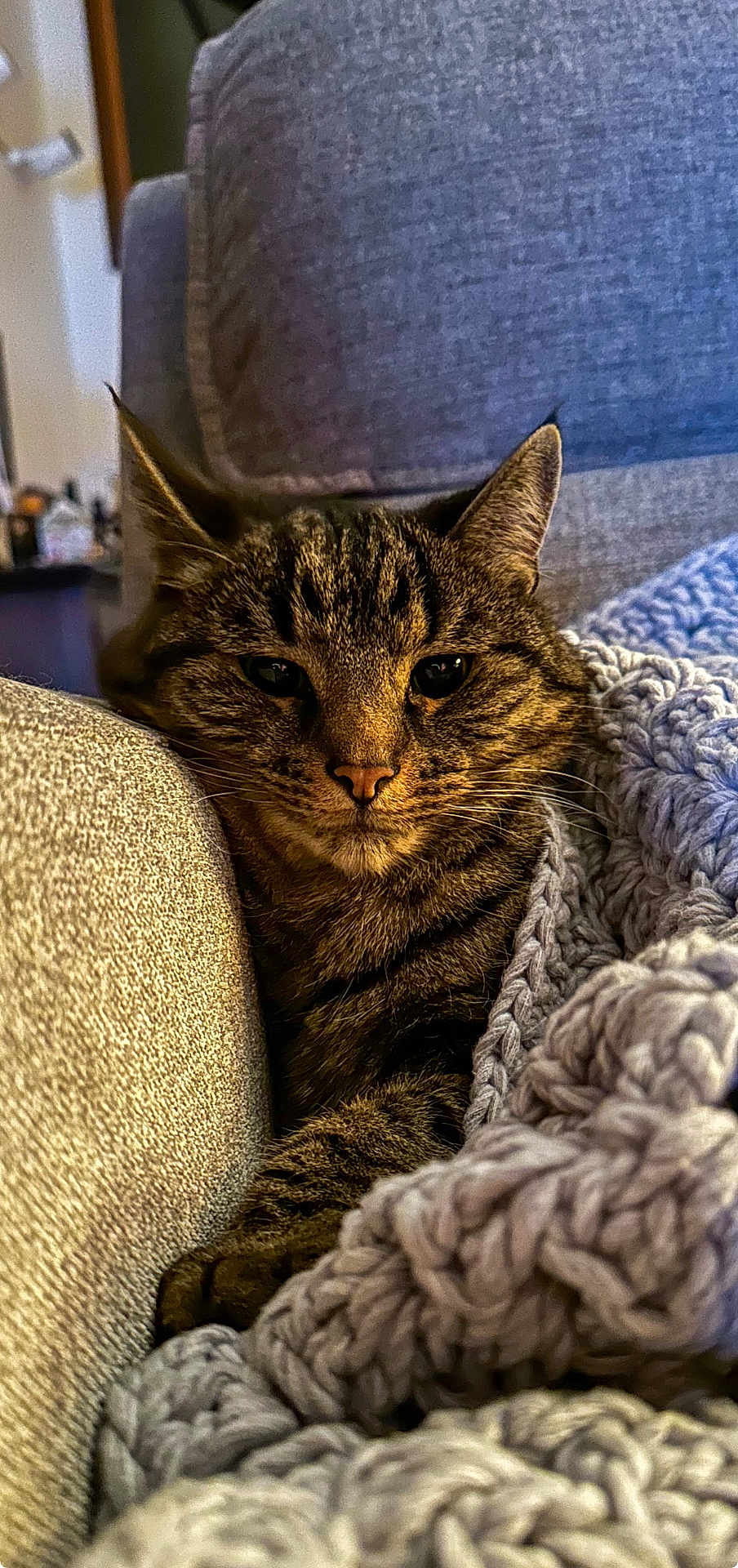 Odin