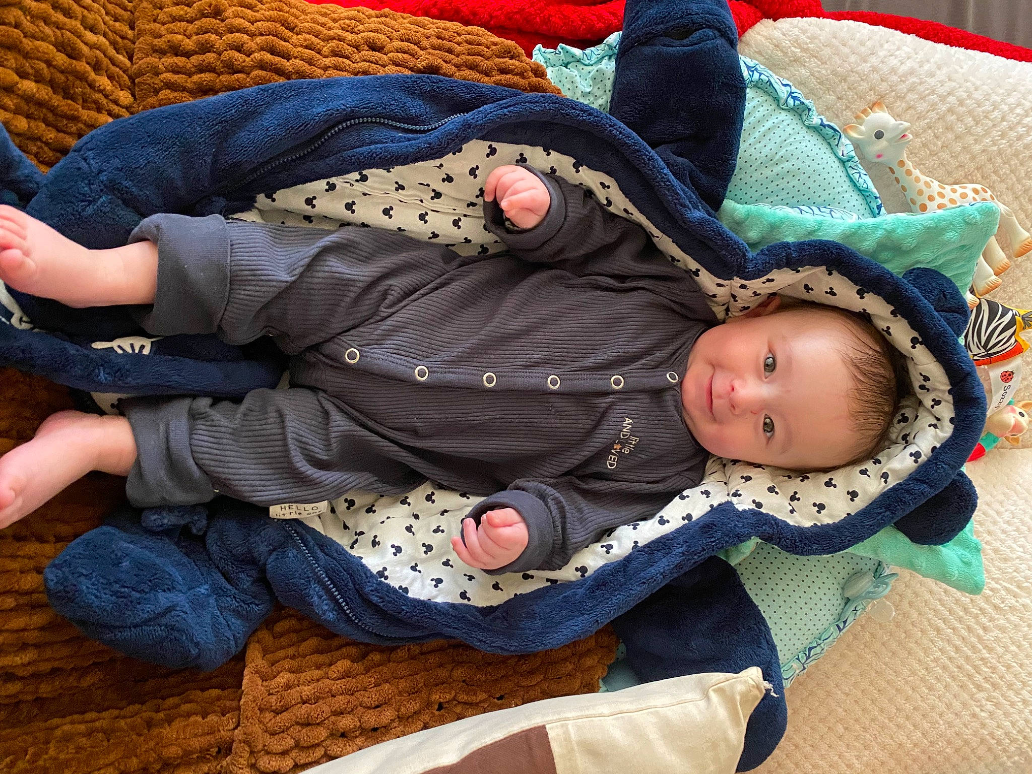 Hélio participe au concours pour gagner de l'argent avec cette photo : baby, baby_products, baby_toddler_clothing, blue, cheek, child, comfort, electric_blue, hand, joy, lap, nap, pattern, person, purple, sitting, sleep, sleeve, textile, thigh