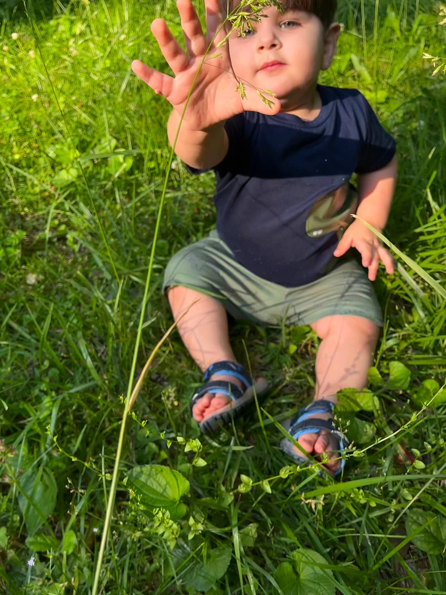 Caden joined the competition — help win amazing prizes! child, finger, fun, gesture, grass, grass_family, grassland, green, happy, leisure, meadow, people_in_nature, person, plant, recreation, shorts, sneakers, summer, t_shirt, terrestrial_plant