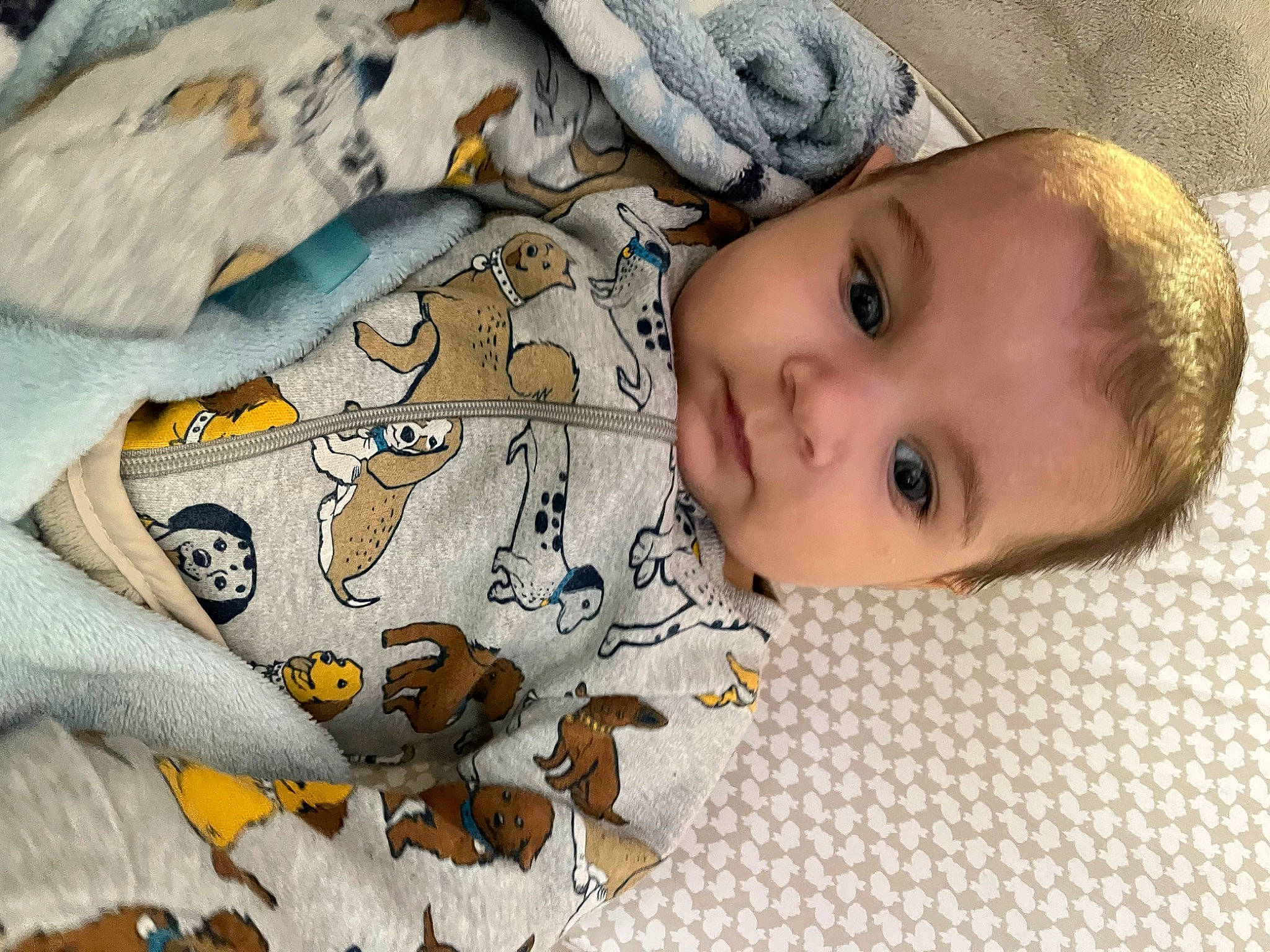 Daemon is registered to the contest to win money with this photo: baby, baby_products, baby_toddler_clothing, bedding, bedtime, blanket, cheek, child, close_up, comfort, eyelash, flooring, fur, linens, pattern, person, room, smile, toddler, toy