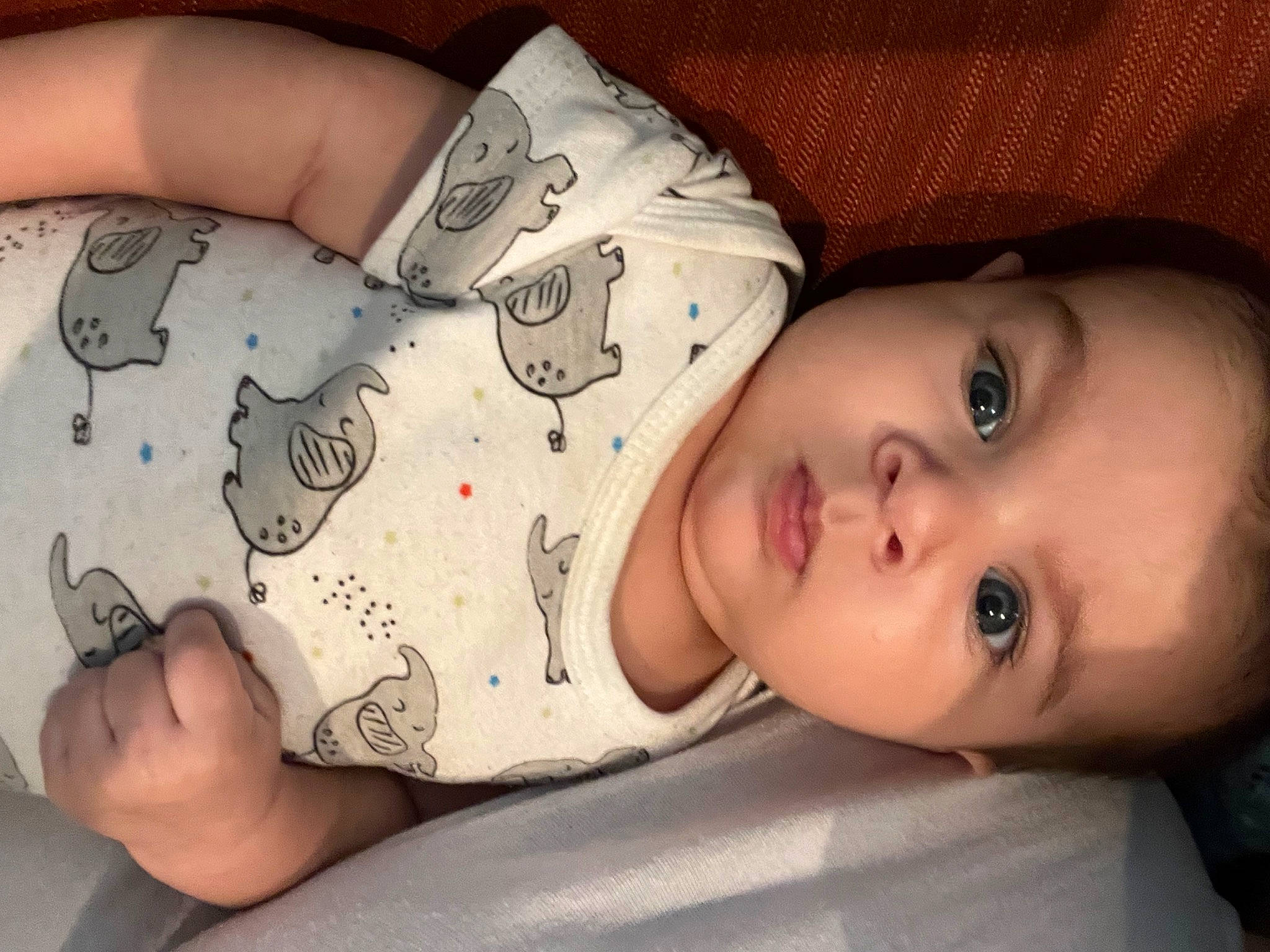 Daemon is registered to the contest to win money with this photo: arm, cheek, eye, eyebrow, eyelash, facial_expression, hand, head, human, human_body, joint, lip, mouth, muscle, neck, nose, person, product, skin, sleeve