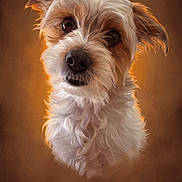 Tony is registered to the contest to win money with this photo: dog, portrait, fluffy, brown_background, pet, cute, animal, close_up, fur, face, ears, whiskers, expression, studio_lighting, warm_tones, head_tilt, canine, domestic_animal, friendly, adorable