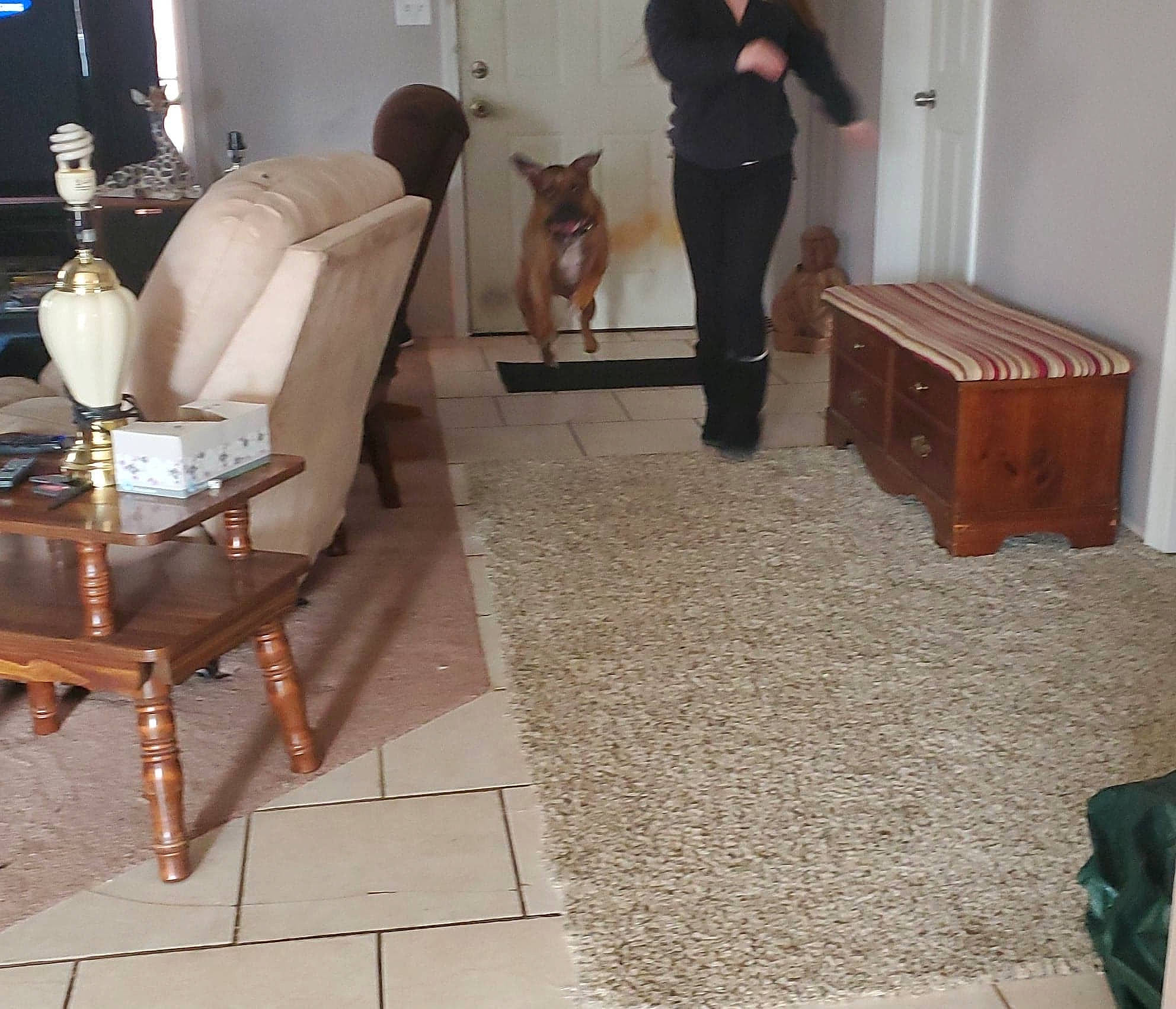 Vinne is registered to the contest to win money with this photo: beige, carpet, chair, floor, flooring, furniture, hardwood, home, house, interior_design, laminate_flooring, living_room, room, slipcover, table, tile, wood, wood_flooring