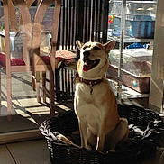 Kooki a rejoint le concours — aidez-le/la à gagner de superbes lots !