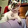 Oddie