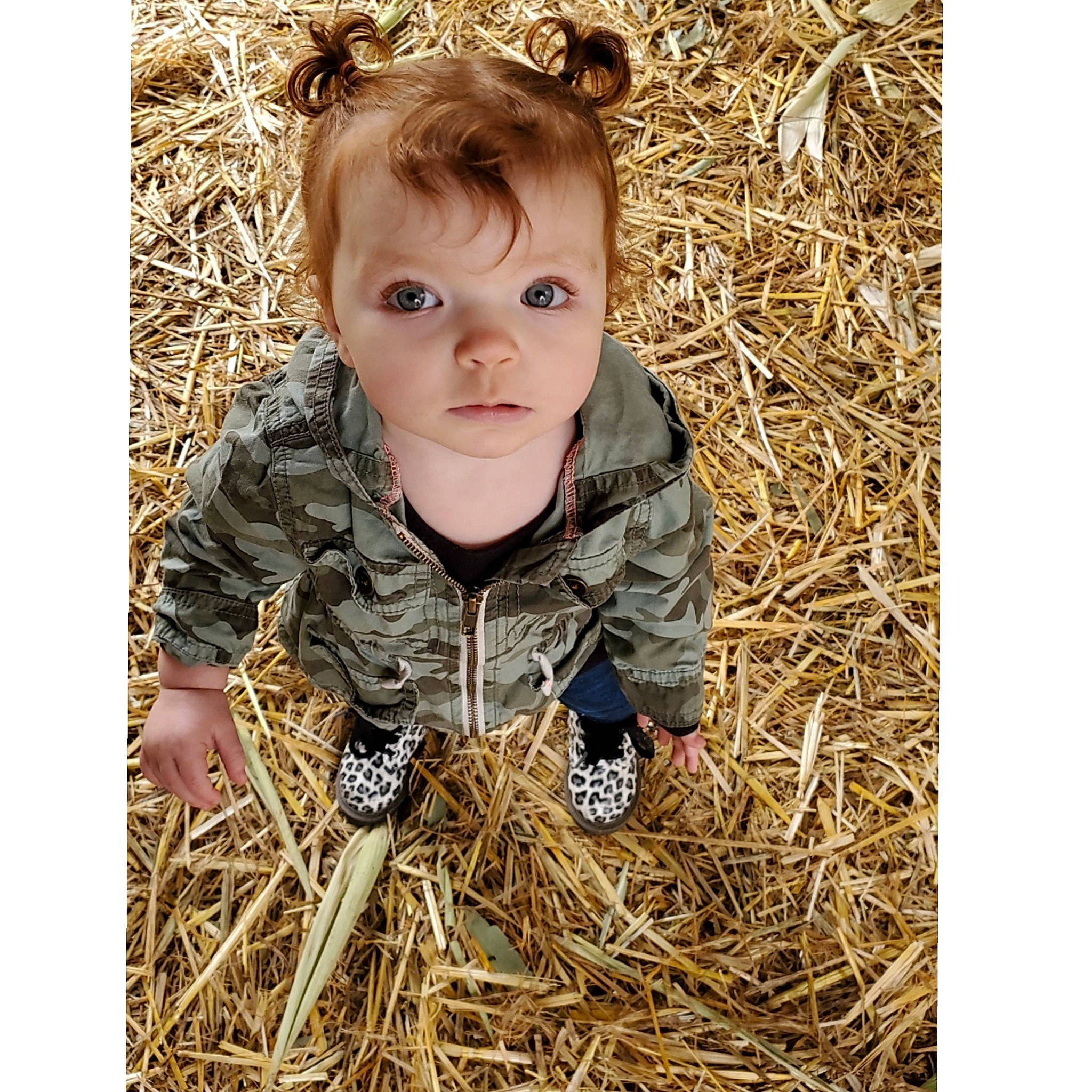 Xena is registered to the contest to win money with this photo: baby, camouflage, child, grass, hay, jacket, military_camouflage, outerwear, pattern, person, photography, plant, play, portrait, sleeve, straw, toddler