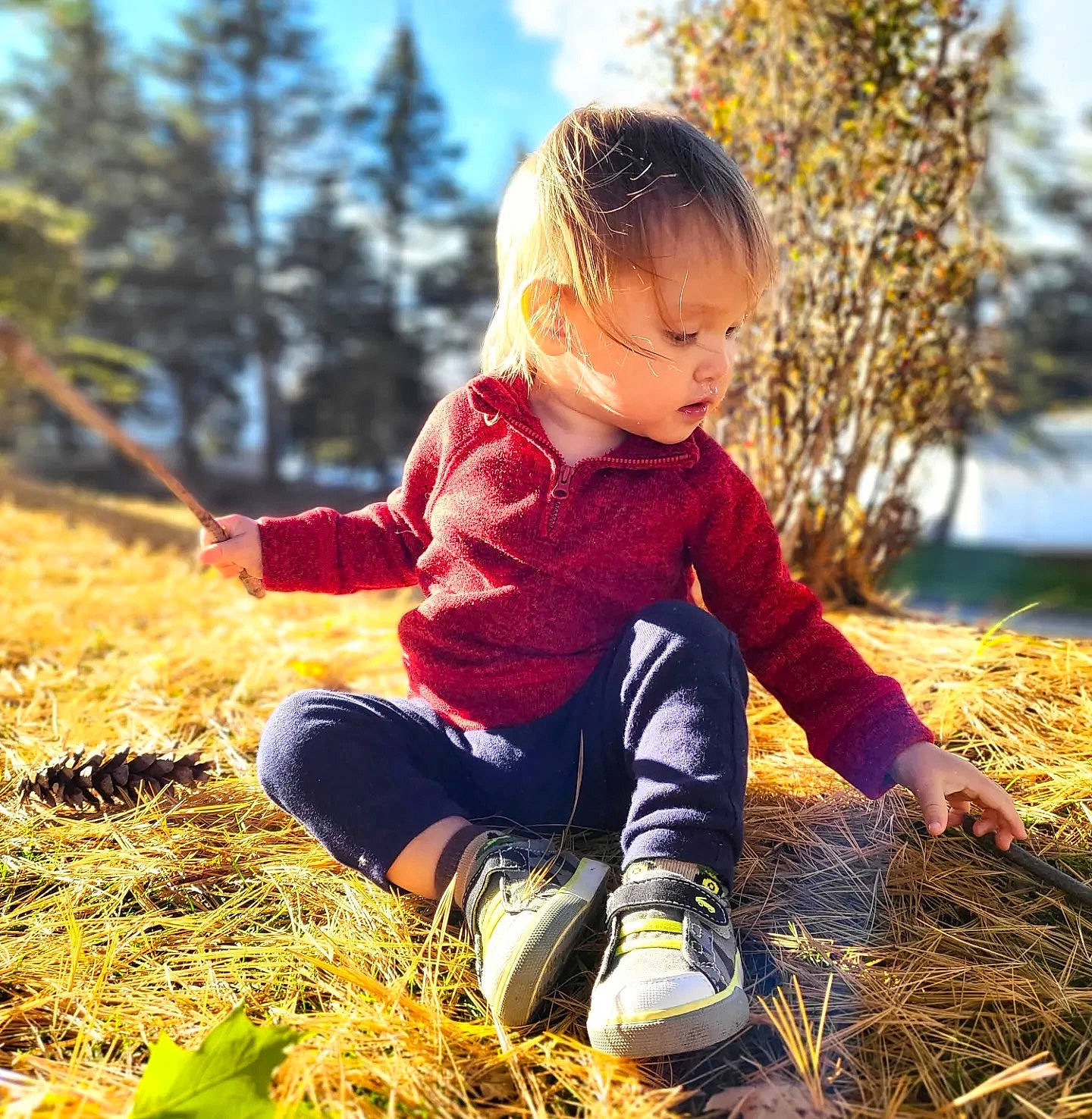 Caspian joined the competition — help win amazing prizes! baby_toddler_clothing, beauty, blond, child, fun, grass, grass_family, happy, landscape, people_in_nature, person, plant, sitting, sky, soil, summer, sunlight, toddler, tree, winter