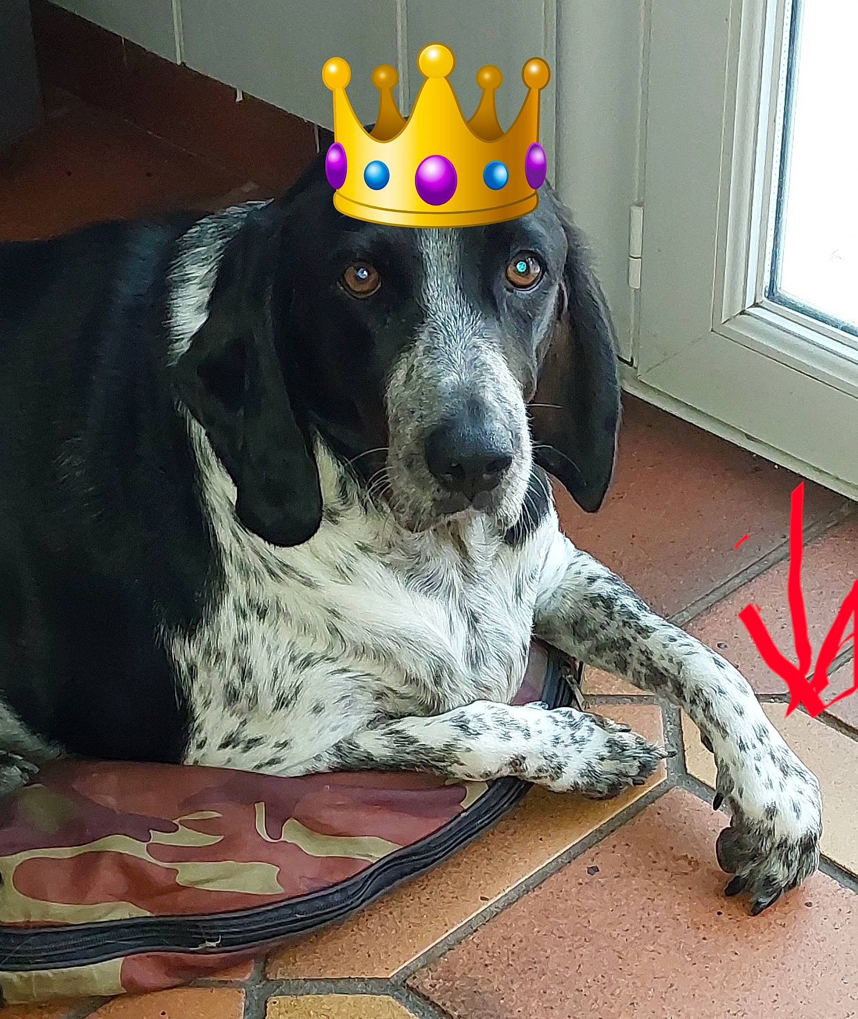 Paco