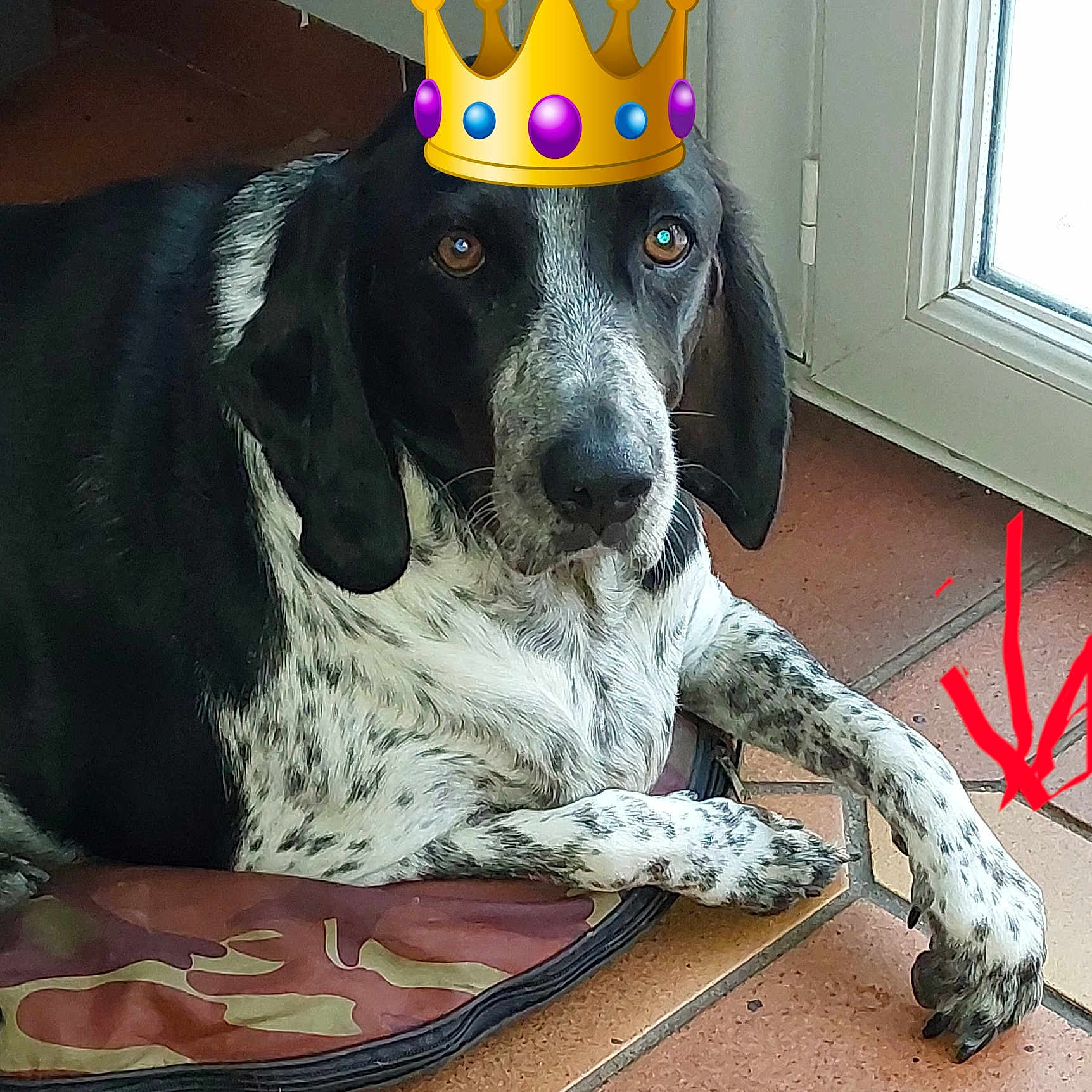 Paco