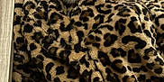 Blissa a rejoint le concours — aidez-le/la à gagner de superbes lots ! animal, black_and_white, blanket, cable, cat, cozy, curious, cute, fur, furry, indoor, kitten, leopard_print, pattern, pet, pink_towel, resting, small, soft, texture