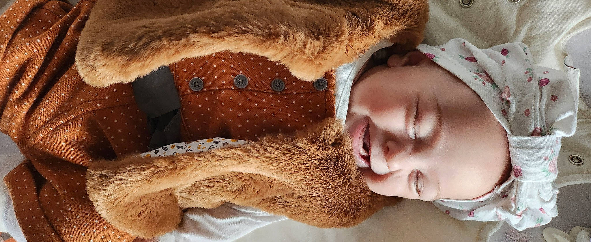 Mila participe au concours pour gagner de l'argent avec cette photo : comfort, ear, eyelash, fawn, fur_clothing, gesture, glasses, happy, head, headgear, human_body, nose, person, plant, skin, smile, snout, sunglasses, textile, tree