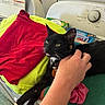 Luvbug is registered to the contest to win money with this photo: cat, black_cat, pet, hand, washing_machine, clothes, red_cloth, yellow_cloth, green_cloth, laundry_room, collar, tag, domestic_animal, relaxing, tongue_out, indoor, fabric, household, comfort, human_interaction