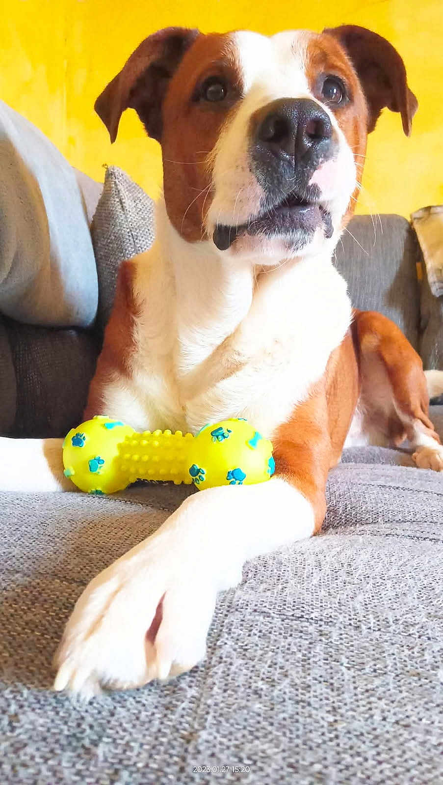 Narko
