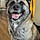 Xena