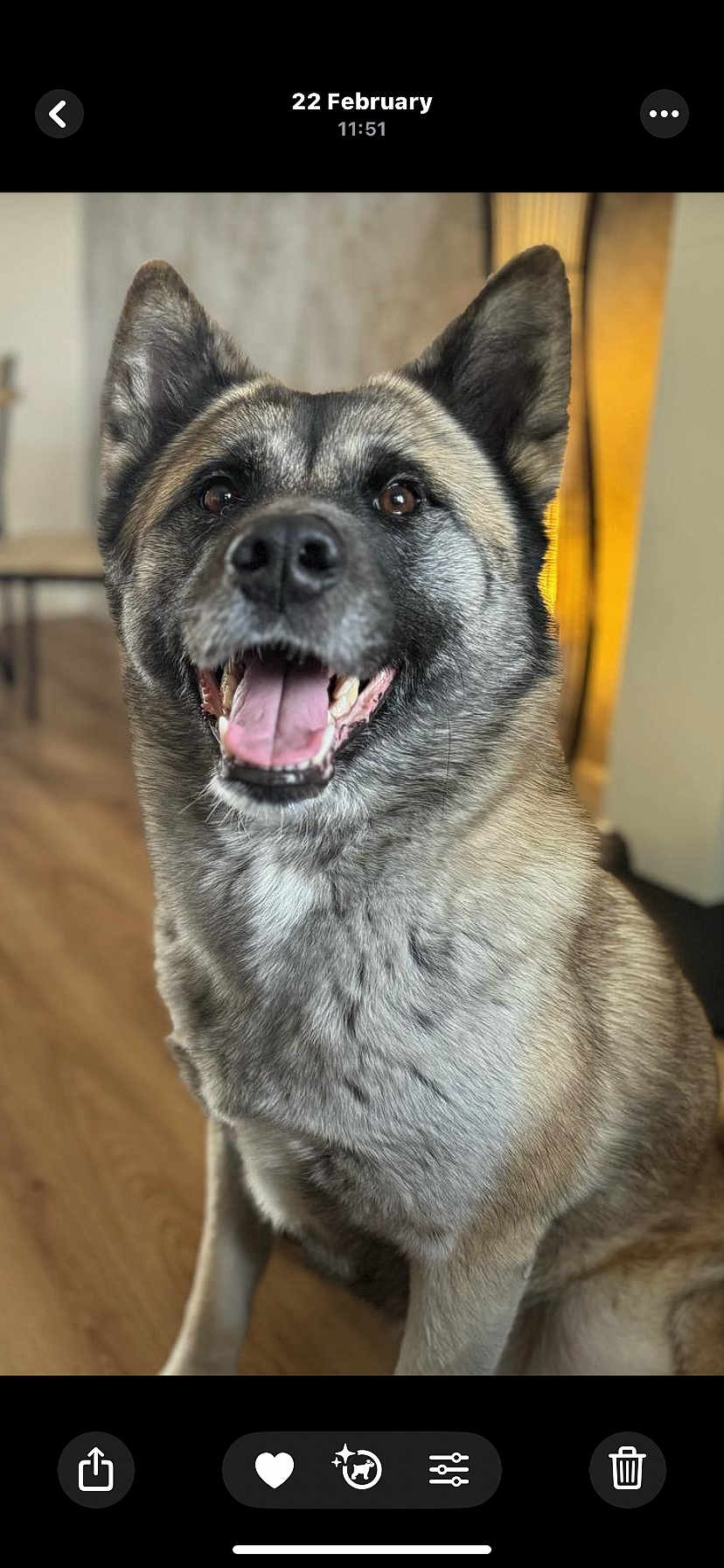 Xena