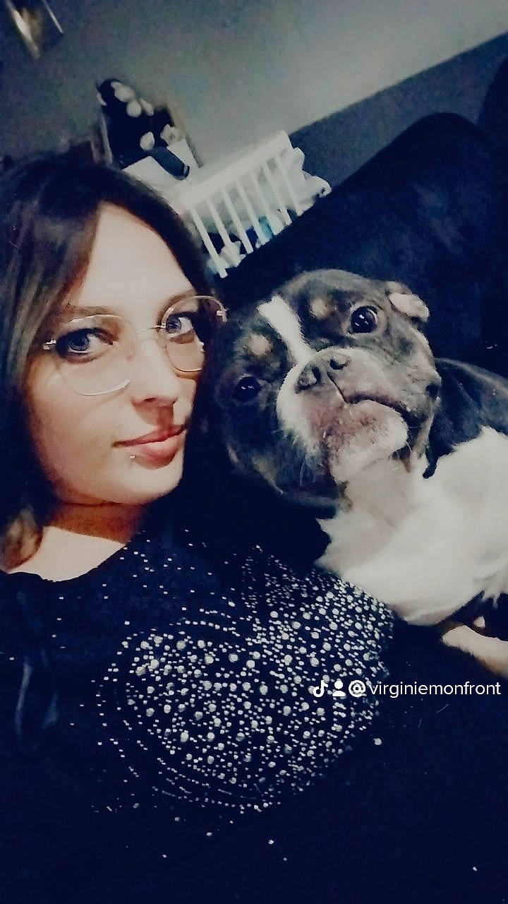 Aria a rejoint le concours — aidez-le/la à gagner de superbes lots ! black_hair, boston_terrier, carnivore, companion_dog, cool, dog, dog_breed, electric_blue, flash_photography, formal_wear, french_bulldog, fur, happy, pattern, selfie, sporting_group, suit, toy_dog, whiskers, working_animal