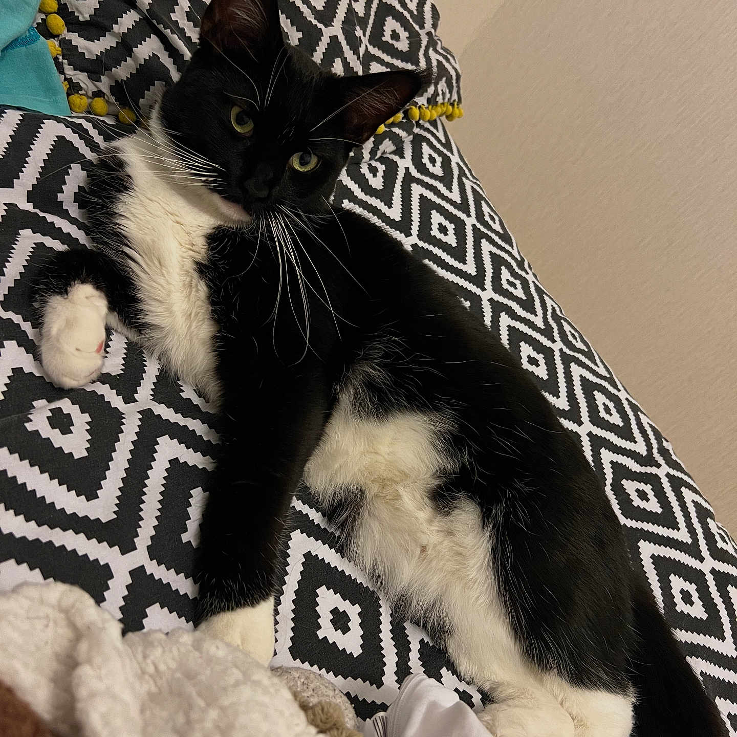 Tychat