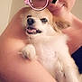Archie is registered to the contest to win money with this photo: person, dog, pet, smiling, hugging, selfie, cute, fluffy, indoor, face_filter, glasses_filter, pink, tattoo, happy, closeup, arm, nostalgic, fun, playful, affection