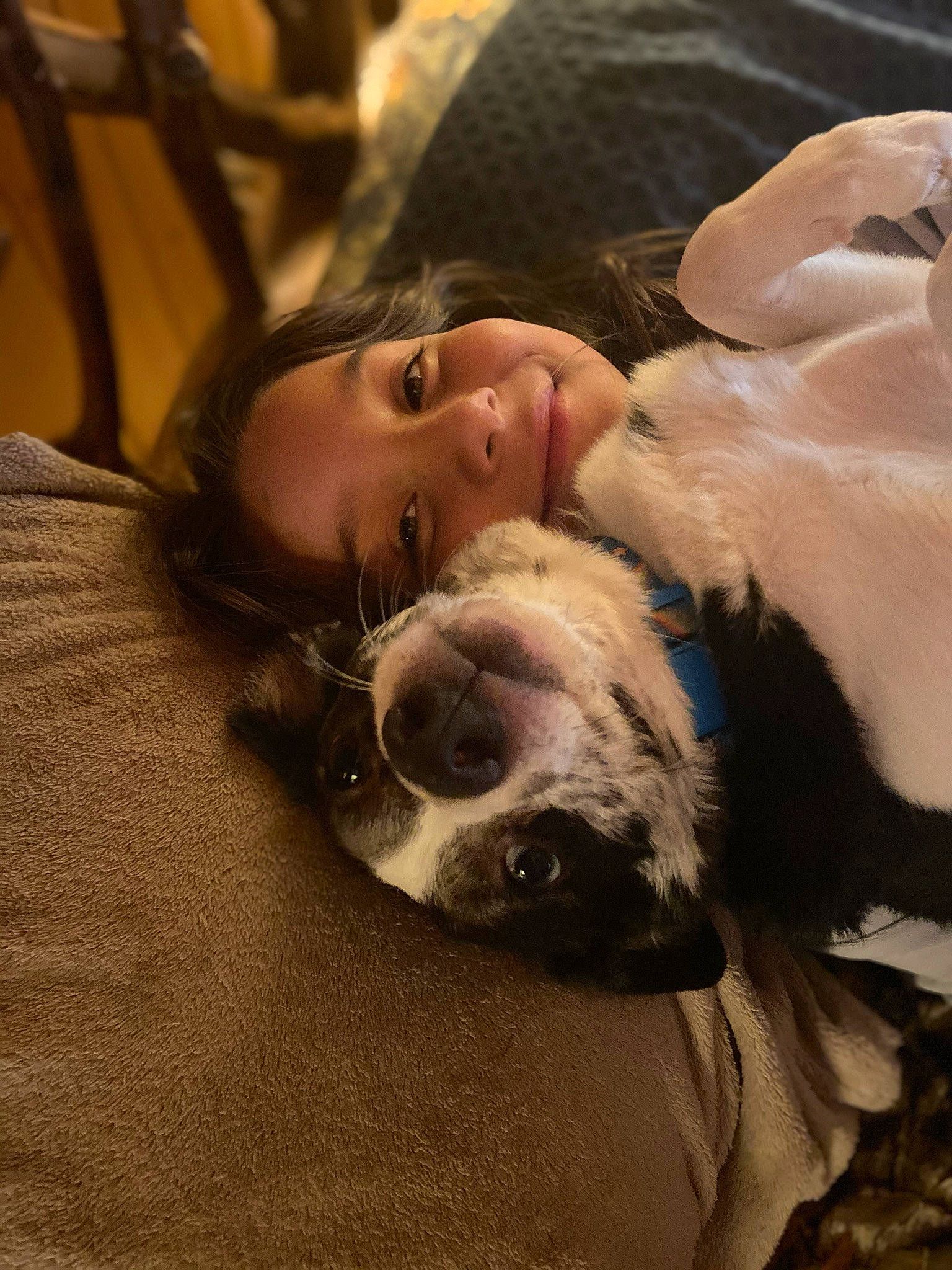 Oakley joined the competition — help win amazing prizes! canidae, carnivore, comfort, companion_dog, dog, dog_breed, ear, fawn, fur, guard_dog, happy, jaw, puppy_love, selfie, snout, sporting_group, toy_dog, whiskers, working_animal, wrinkle