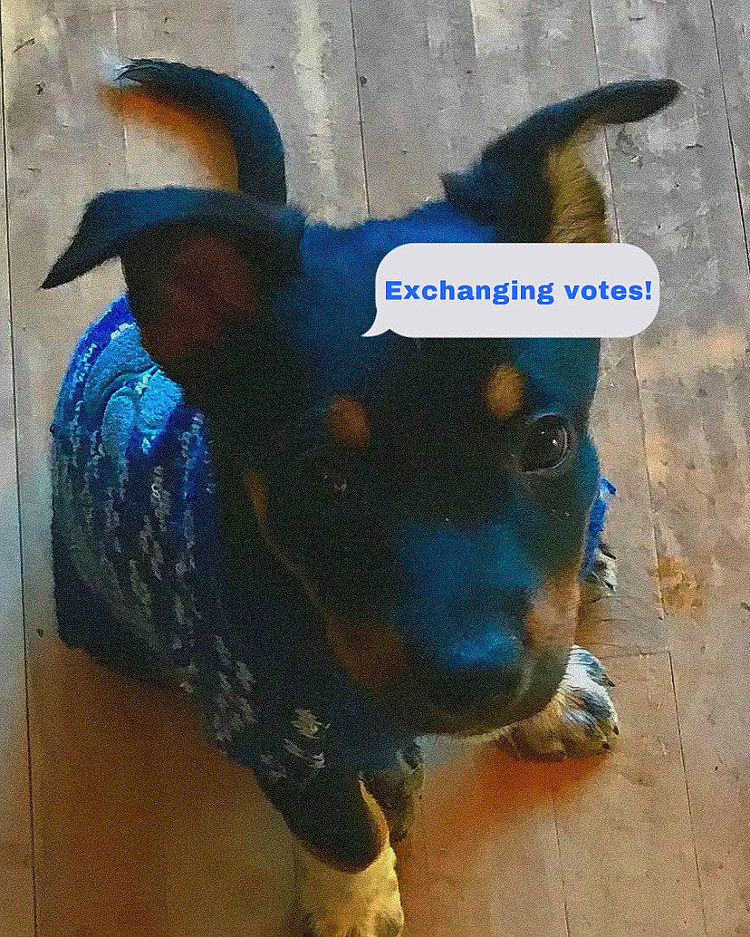 Acey Babes is registered to the contest to win money with this photo: art, canidae, carnivore, companion_dog, concrete, dog, dog_breed, dog_supply, electric_blue, fashion_accessory, fawn, paw, personal_protective_equipment, pet_supply, road_surface, snout, sporting_group, terrestrial_animal, working_animal, working_dog