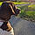 Dixie