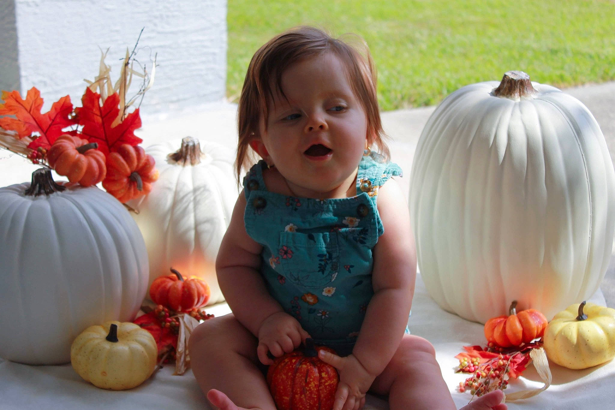 Iyla is registered to the contest to win money with this photo: baby_toddler_clothing, calabaza, child, cucurbita, doll, dress, gourd, grass, happy, natural_foods, orange, people, person, plant, pumpkin, squash, toddler, tree, vegetable, vertebrate