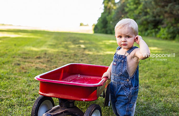 Watson is registered to the contest to win money with this photo: baby, cart, child, fun, garden, grass, lawn, person, photography, plant, play, product, red, sitting, smile, summer, toddler, vehicle, wagon, wheelbarrow