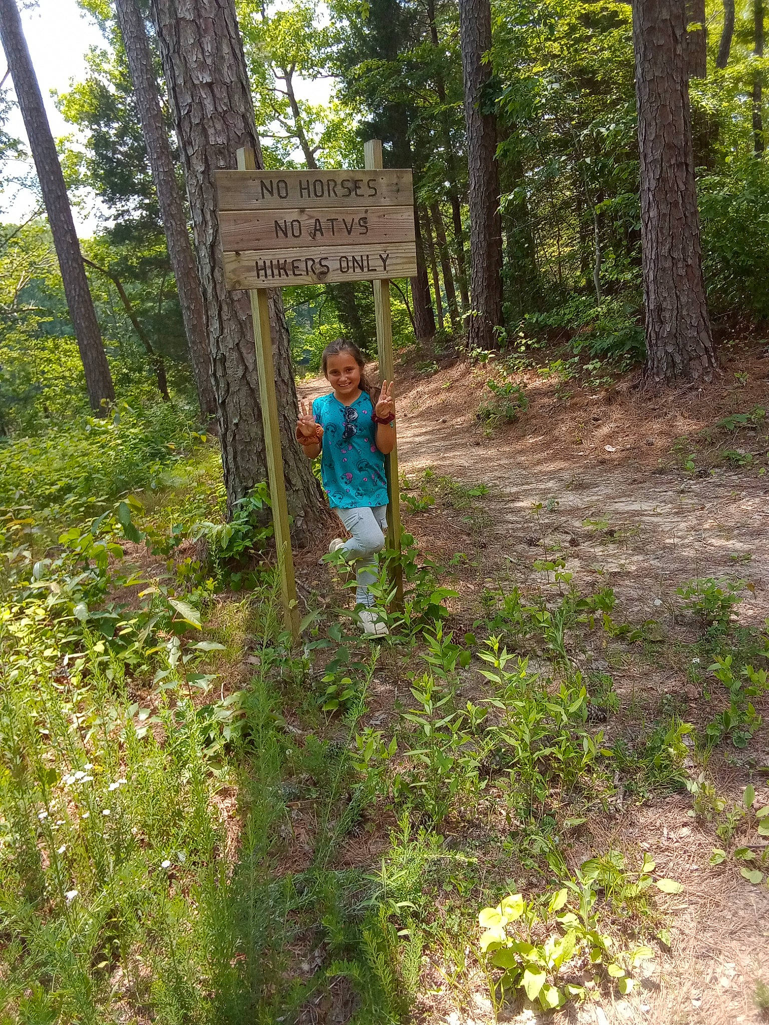 Rose joined the competition — help win amazing prizes! biome, forest, grass, groundcover, grove, joy, jungle, landscape, natural_landscape, people_in_nature, person, plant, plant_community, recreation, soil, temperate_broadleaf_and_mixed_forest, terrestrial_plant, trail, tree, trunk