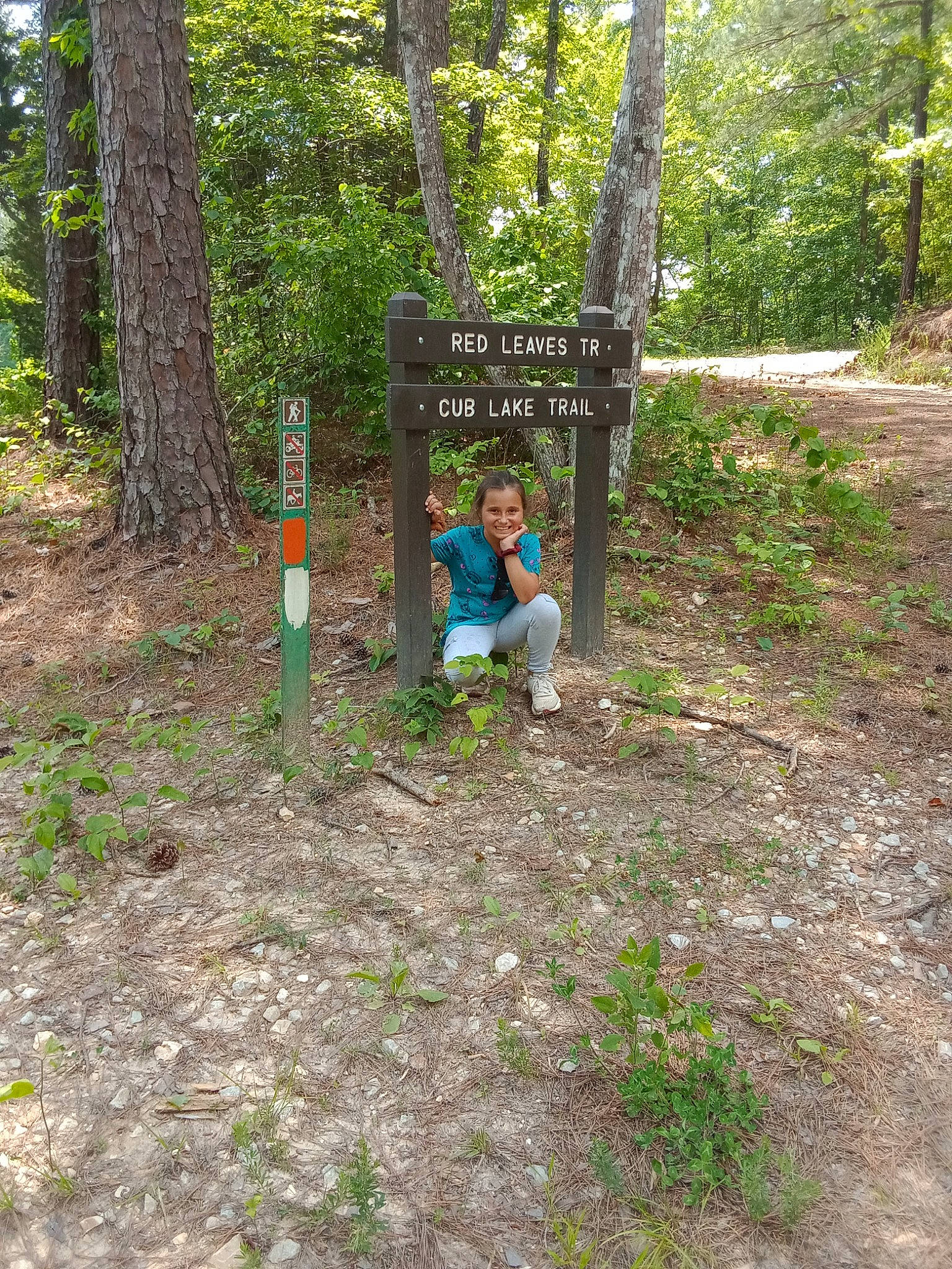 Rose is registered to the contest to win money with this photo: biome, deciduous, forest, grass, groundcover, grove, joy, landscape, leisure, natural_landscape, people_in_nature, person, plant, plant_community, recreation, soil, temperate_broadleaf_and_mixed_forest, terrestrial_plant, tree, trunk