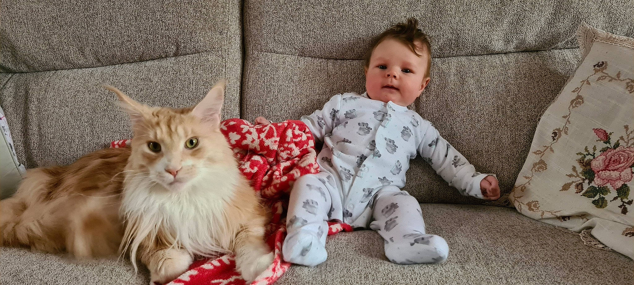 Caleb is registered to the contest to win money with this photo: baby, baby_toddler_clothing, carnivore, cat, child, comfort, doll, domestic_short_haired_cat, fawn, felidae, foot, fur, happy, lap, paw, person, sitting, small_to_medium_sized_cats, tail, toddler