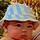 Ayden