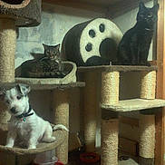 Izaak a rejoint le concours — aidez-le/la à gagner de superbes lots !