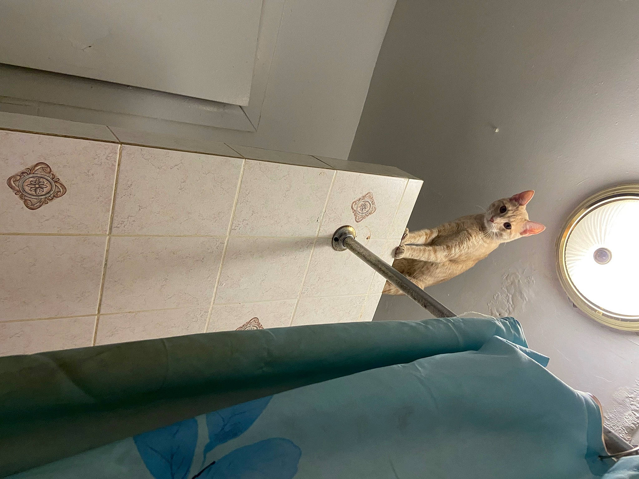 Jd is registered to the contest to win money with this photo: aerospace_engineering, automotive_exterior, aviation, ceiling, circle, flooring, glass, hardwood, line, mechanical_fan, metal, plaster, room, space, tile, tints_and_shades, wall, windshield, wing, wood