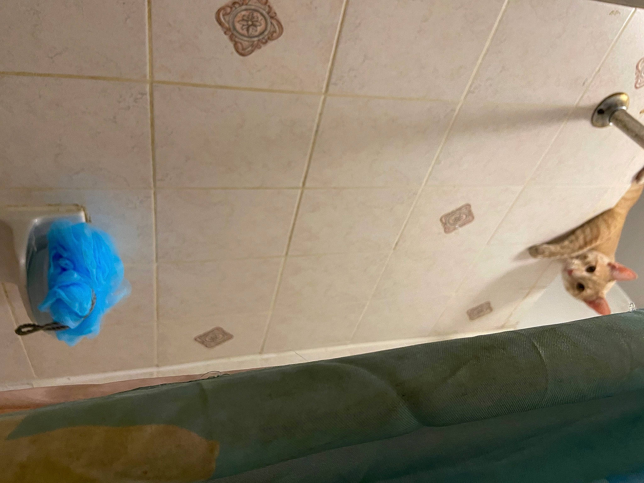 Jd joined the competition — help win amazing prizes! air_travel, aircraft, airplane, aviation, ceiling, electric_blue, floor, flooring, gas, hardwood, pattern, plaster, plywood, room, space, tile, tile_flooring, wing, wood, wood_stain