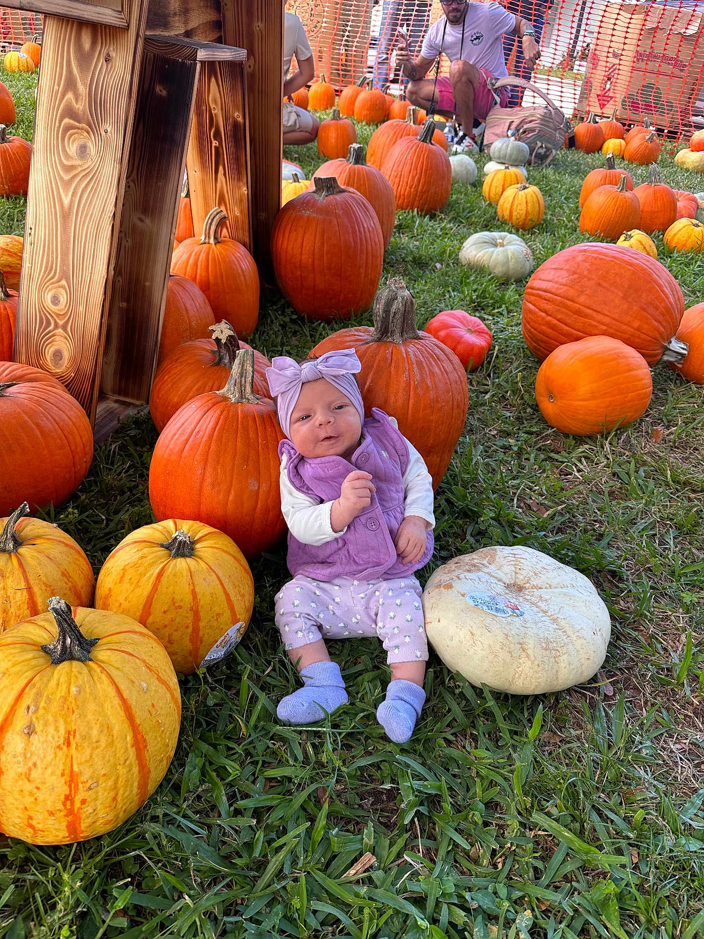 Oaklynn joined the competition — help win amazing prizes! baby, pumpkin, pumpkin_patch, grass, purple_clothing, headband, infant, outdoor, autumn, orange_pumpkin, white_pumpkin, person, man, green_grass, fall, nature, cute_baby, sitting, casual, harvest