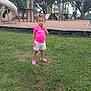 casual_clothing, child, climbing_structure, curious_expression, daylight, footwear, grass, nature, outdoor, park, person, pink_shirt, play_equipment, playground, recreation, shorts, slide, summer, tree, young_child