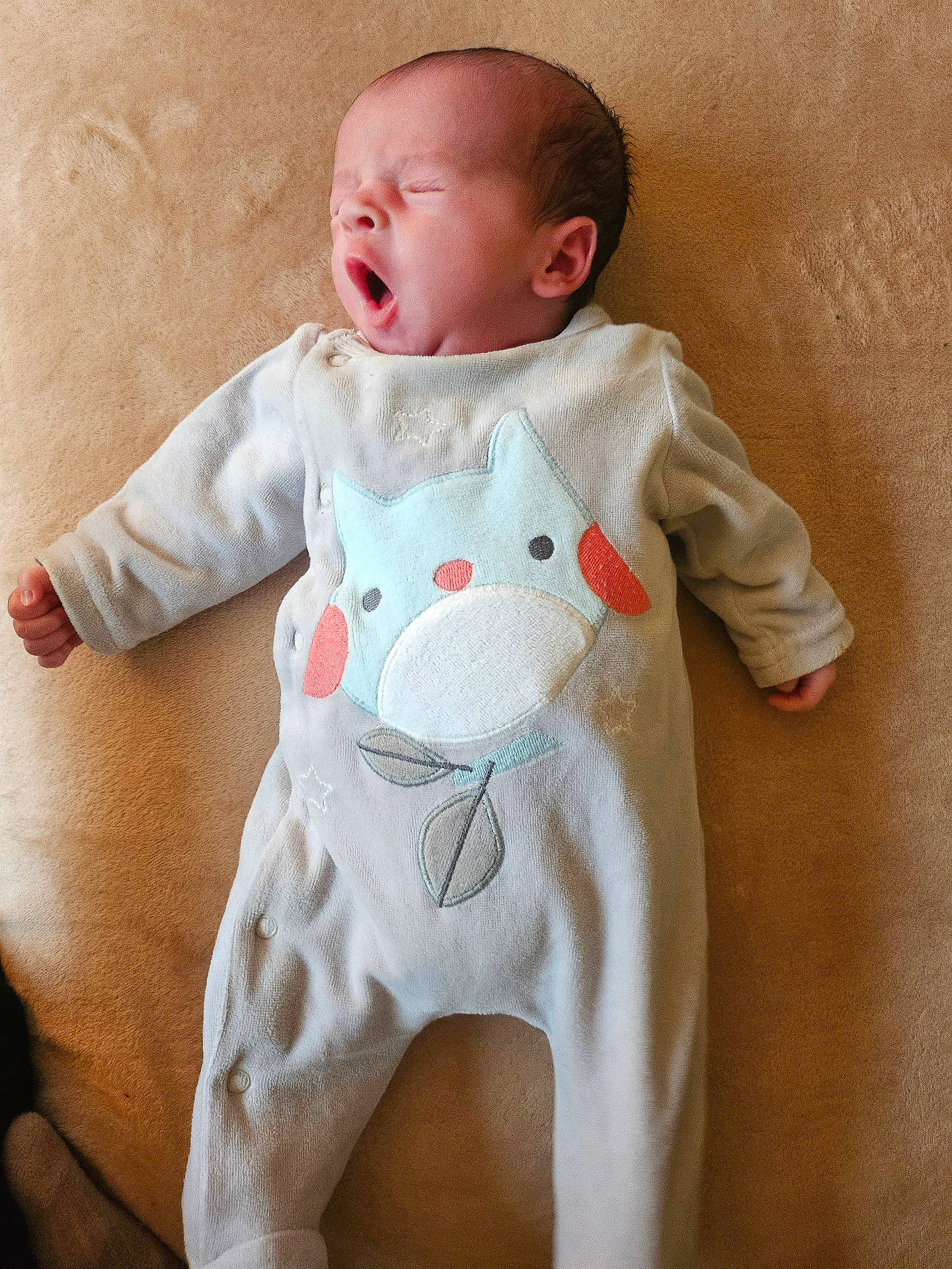 Tim a rejoint le concours — aidez-le/la à gagner de superbes lots ! baby, blanket, bodypart, clothing, crying, cushion, face, finger, furniture, glove, hand, head, homedecor, newborn, person, photography, portrait, sad, sleeping, yawning