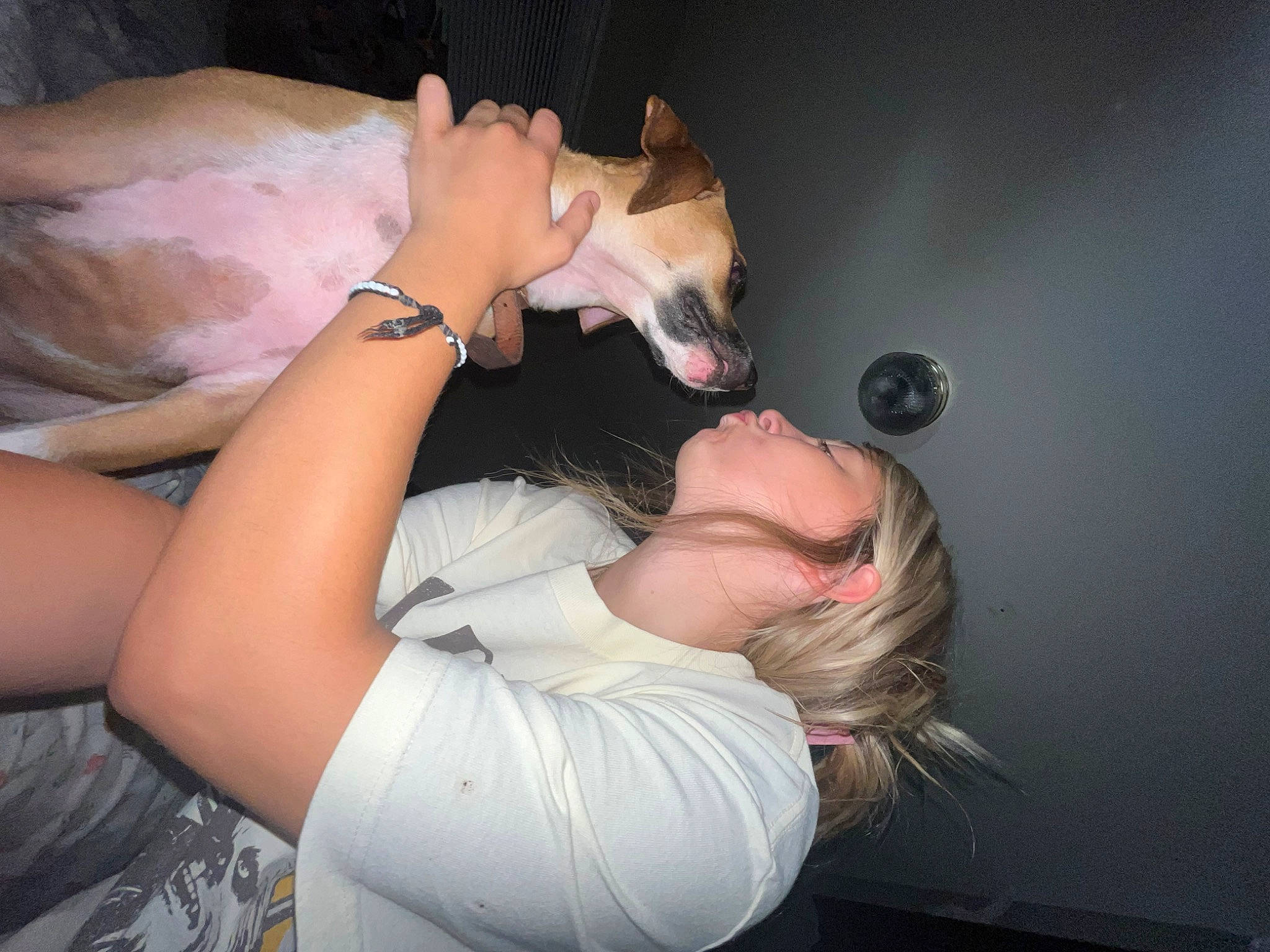 Valentine is registered to the contest to win money with this photo: arm, carnivore, companion_dog, dog, dress, ear, elbow, event, eyewear, finger, flash_photography, gesture, hand, human_leg, jewellery, mouth, nail, shoulder, thigh, wrist