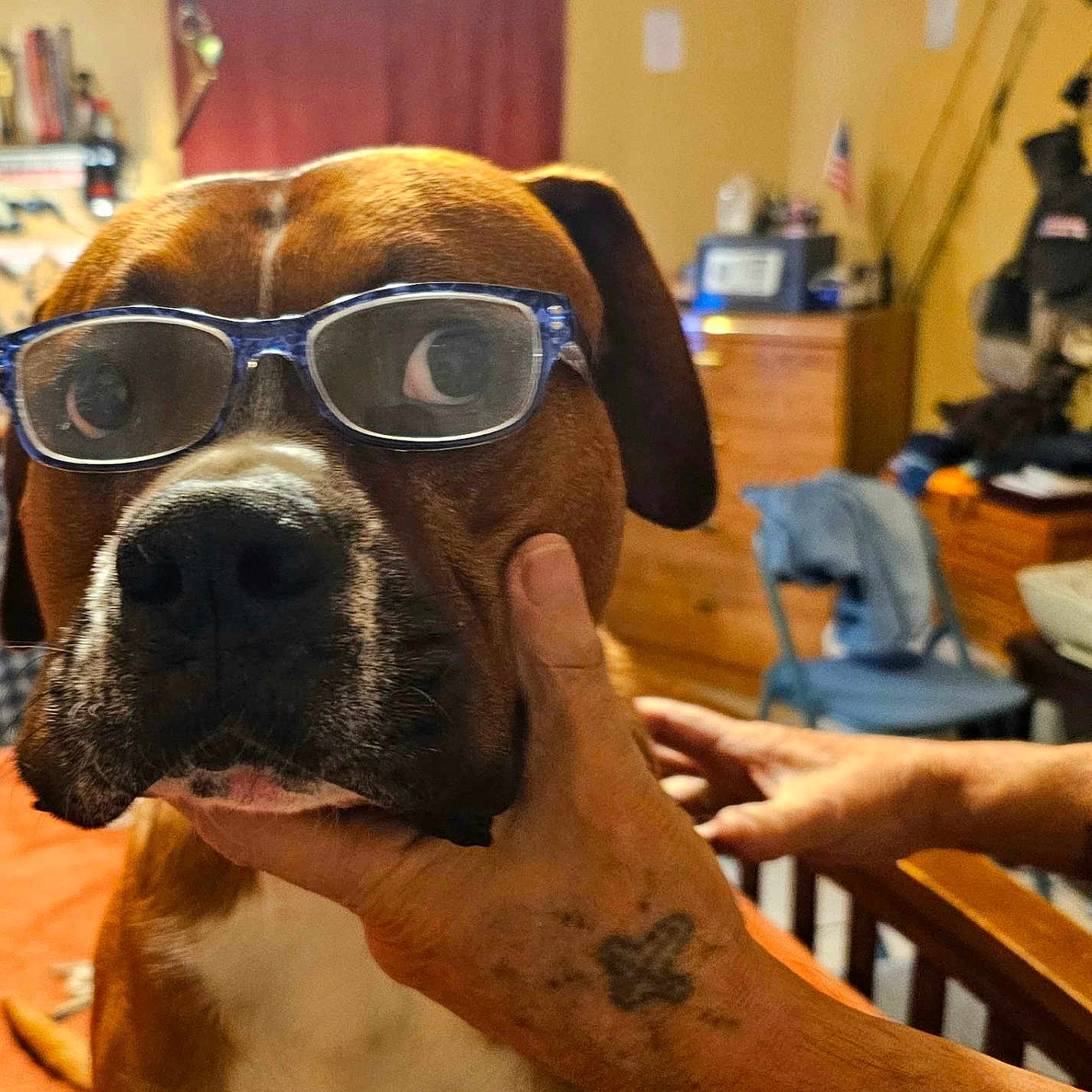 Duke