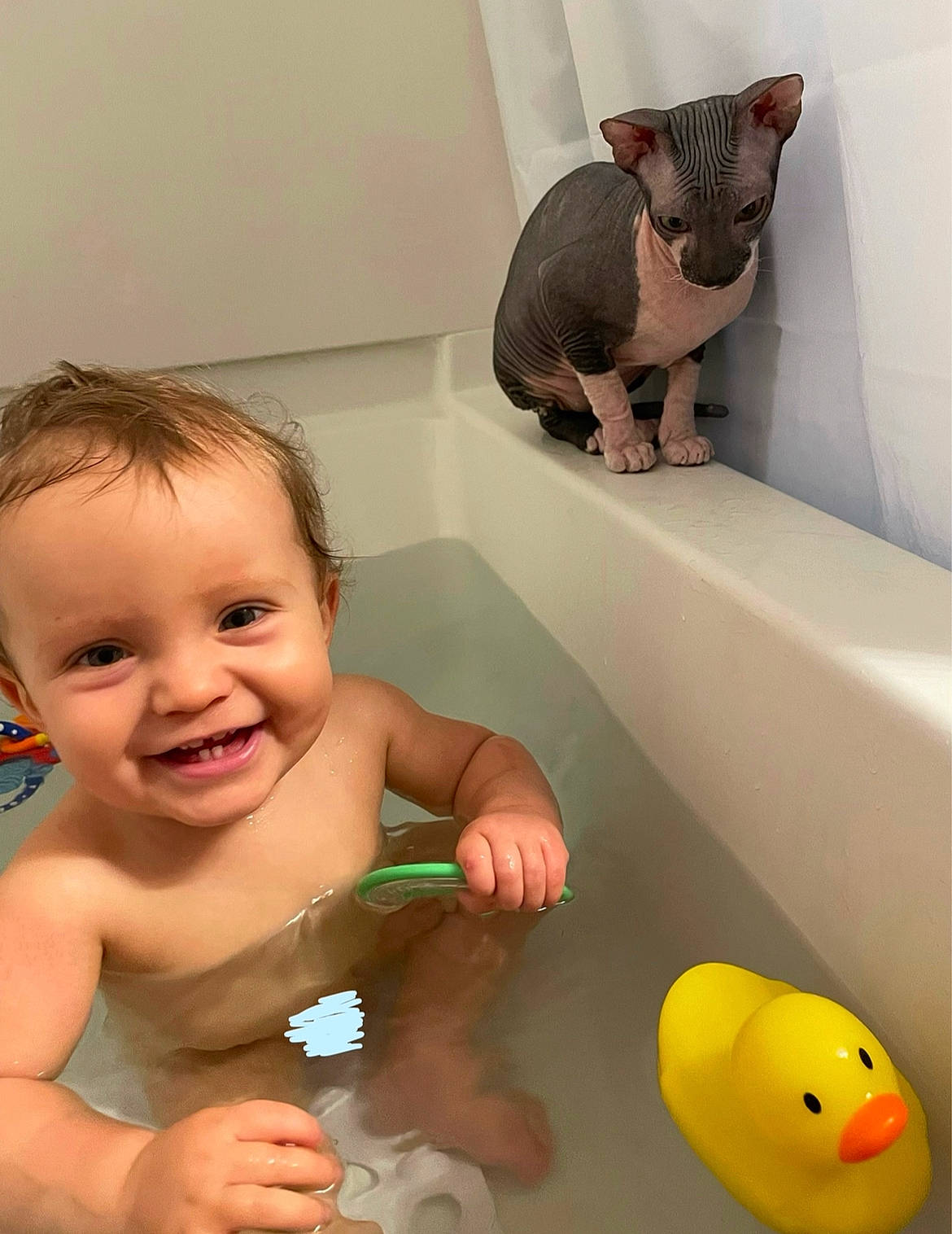 Zander joined the competition — help win amazing prizes! baby, baby_bathing, bath_toy, bathing, bathroom, bathtub, fun, joy, mammal, mouth, organ, person, personal_care, photograph, product, skin, smile, toddler, toy, vertebrate